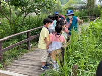 [게시판] '청계천 생태학교' 유치원·초등생 참가자 모집