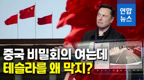 [영상] 중국 휴양도시 "테슬라 차량 진입금지"…머스크 어떤 기분? - 2