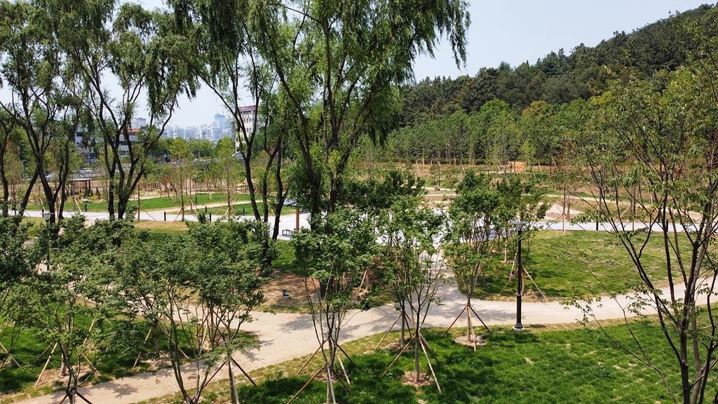 대구대표도시숲