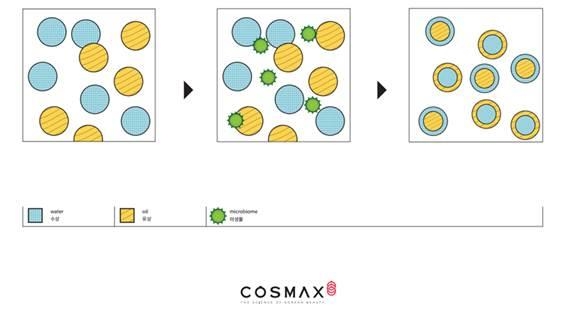 코스맥스가 개발한 유화시스템 모식도