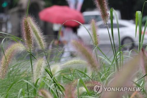 비
