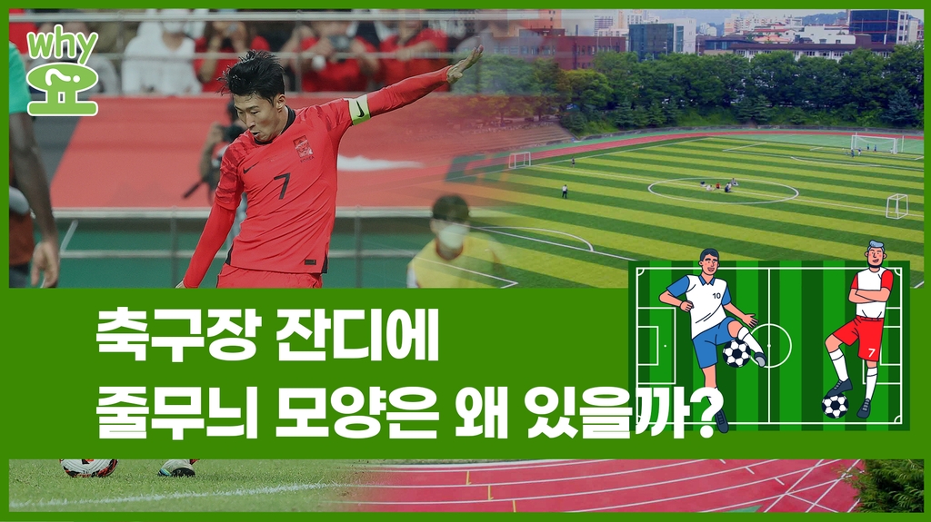 [Why요?] 축구장 잔디에 줄무늬 모양은 왜 있을까? - 2