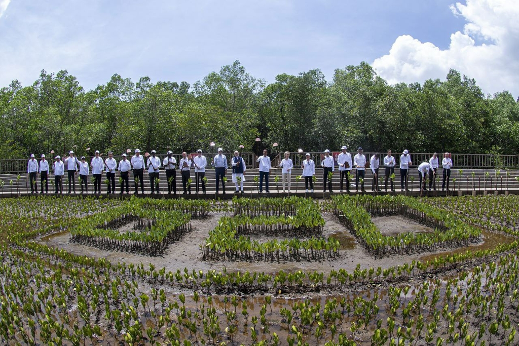 Líderes do G20 plantam manguezais