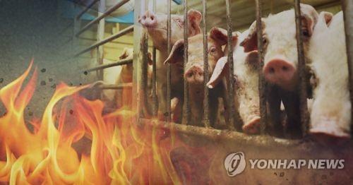 의성 축사서 화재…돼지 600마리 폐사