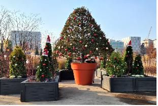 서울식물원 겨울정원에서 만나는 이색 크리스마스