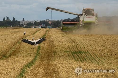 세계 곡물 가격, 우크라 전쟁 지속에 올해도 불안 전망