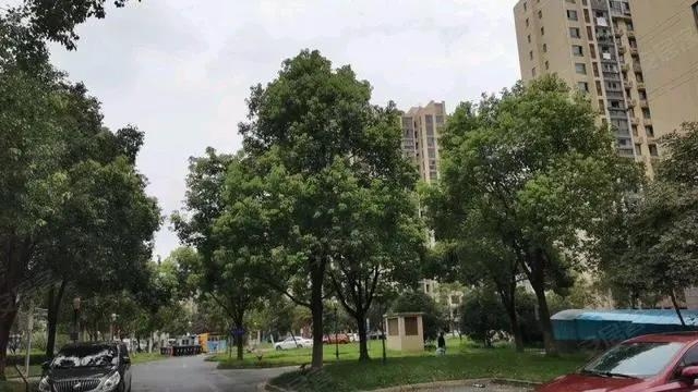 이혼 부부 다툼으로 사상자가 발생한 상하이 아파트
