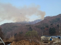 화천 군부대 사격장 산불 재발화…불길 잡혀 '뒷불 감시' 전환(종합)