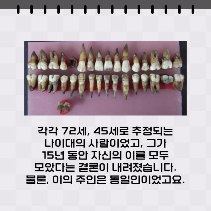 [카드뉴스] 오페르트 도굴 사건, 삽질만 하다 실패에 그친 이유 - 12