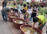 해남군, 서울지역 14개 초등학교에 벼 체험포 설치