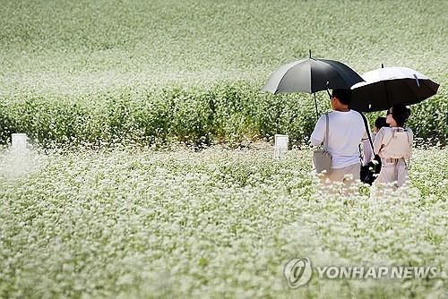 2023 평창효석문화제 즐기는 방문객들