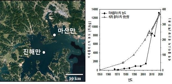 마산·진해만 시료 채취 지점(왼쪽)과 미세플라스틱 농도