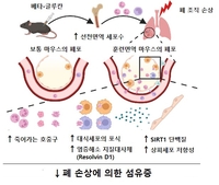 "베타-글루칸 주사하면 면역력 더 강하게 훈련"