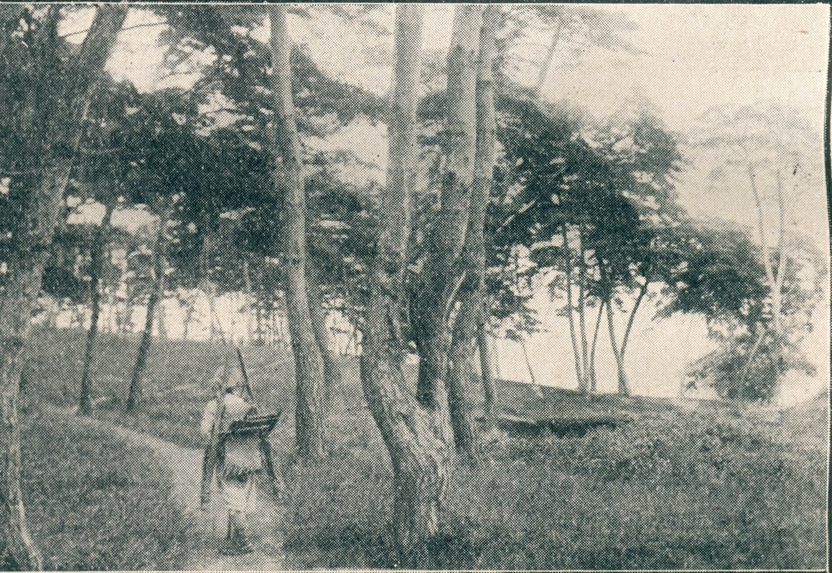 1910 ȿâ  [￪ī̺ . Ǹ  DB ]