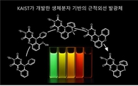 생체 내 형광분자 기반 근적외선 발광체 