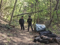 "발화지점 모두 훼손"…대구 함지산 산불, 원인 규명 난항