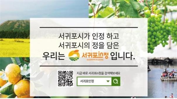 서귀포in정