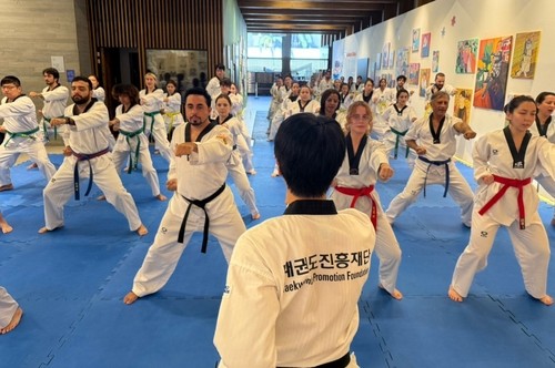 태권도 봉사단의 해외 태권도 보급 활동