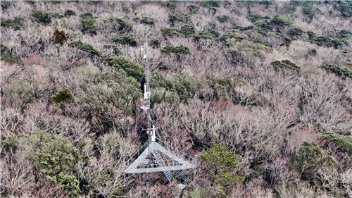 AI로 산림탄소흡수량 예측정밀도 높인다…산림과학원, 연…