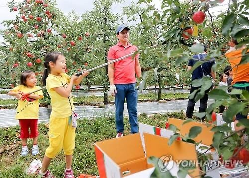 색에 반하고 맛에 취한다…장수 한우랑사과랑축제 9월 1…