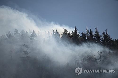 미 동북부, 캐나다 산불연기에 대기질 건강주의보