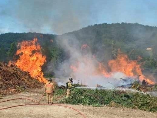 전남 여수 임목 폐기장서 불…5시간여만에 꺼져(종합)