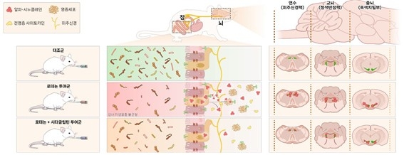 (=մ) 汸 ׳  𵨿 峻   Ȯ  ־. -ôŬ ܹ  Ǽ Ű  ̵ ߳ . Ÿ۸ƾ    ̷ 峻   Ҿ ܹ  پ  -ôŬ Ȯ Ĺ Ű漼 ջ ߴ. 2025.11.04. [ . Ǹ  DB ]