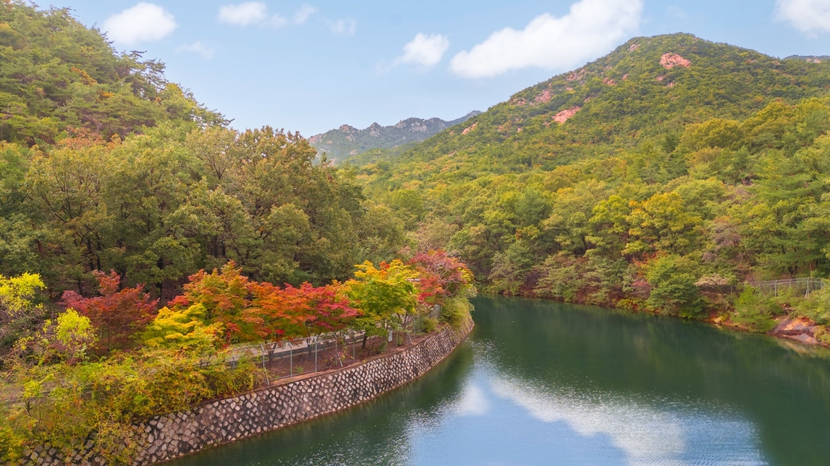 서울대 안양수목원 전경
