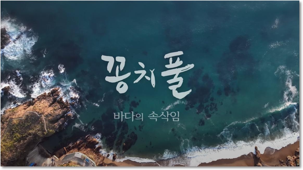 MBC강원영동, 해양 다큐 '꽁치풀-바다의 속삭임' 13일 방영