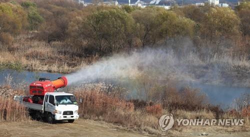 Se sospecha de un caso de gripe aviar en la región de Chungcheong del Sur