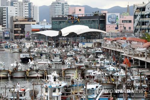Los barcos pesqueros se encuentran atracados, el 1 de septiembre de 2022, en un puerto de Pohang, 374 kilómetros al sureste de Seúl, dado que el tifón superfuerte Hinnamnor se acerca a la península coreana. Se pronostica que Hinnamnor llegará al mar a 70 kilómertros al sur de la ciudad portuaria meridional de Seogwipo, en Jeju, el 6 de septiembre, según la agencia meteorológica estatal.
