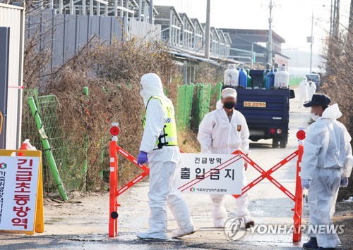 Las autoridades bloquean la entrada a una granja avícola, el 17 de noviembre de 2022, en donde se ha confirmado un caso adicional de la gripe aviar, en Hwaseong, a unos 40 kilómetros al sur de Seúl.