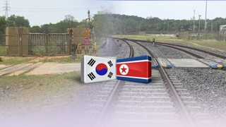 Un tren surcoreano parte a Corea del Norte para inspeccionar conjuntamente las vías férreas