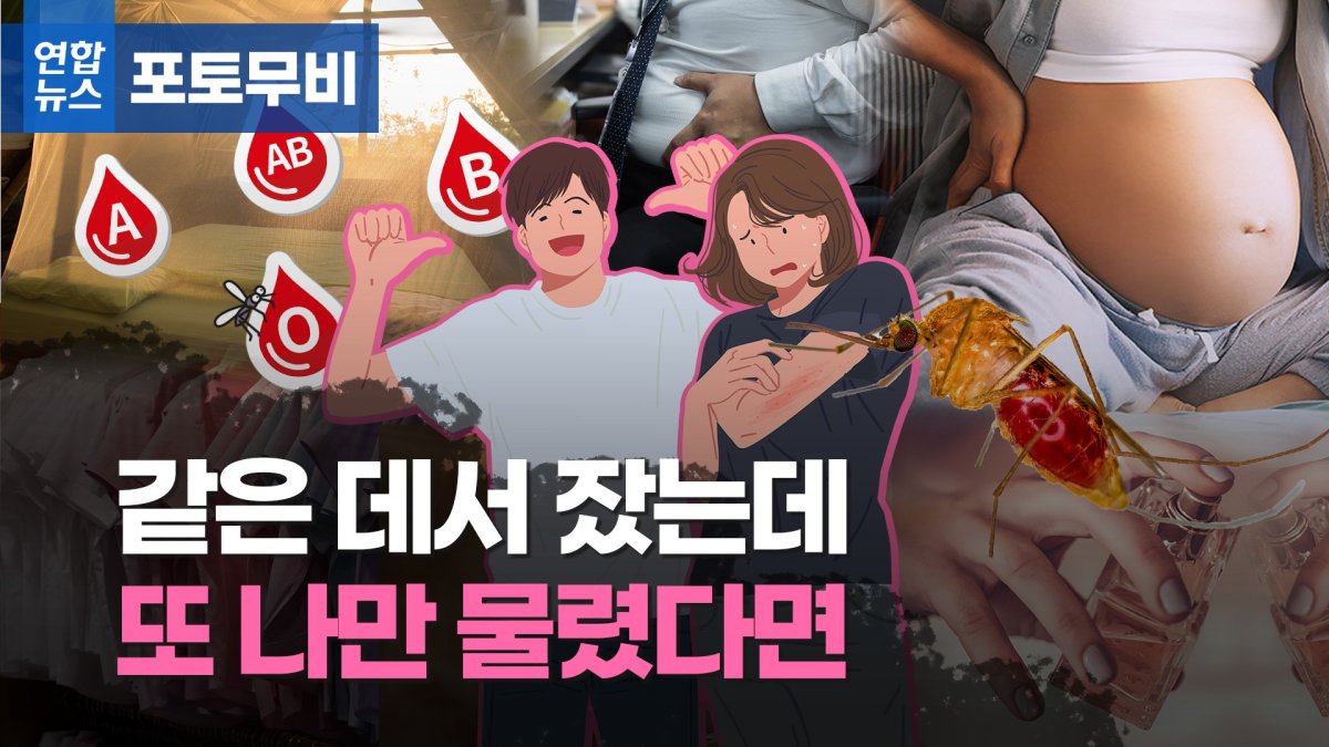 [포토무비] 혹시 O형이라서? 나만 무는 것 같은 모기와의 한판승