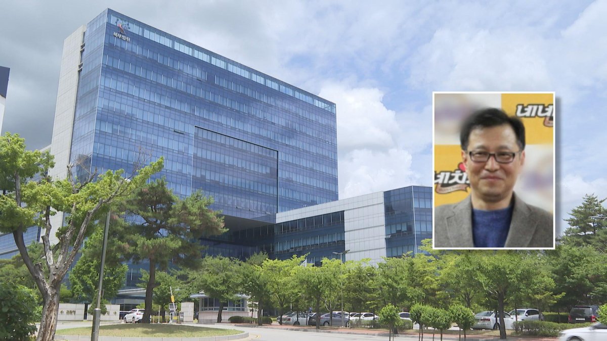 유령회사 세워 부당이득…네네치킨 회장 집유 | 연합뉴스