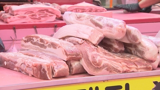 Se sacrifican más de 1.000 cerdos para prevenir la propagación de la peste porcina africana