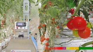 진화하는 농업…로봇·첨단기술로 '스마트팜'