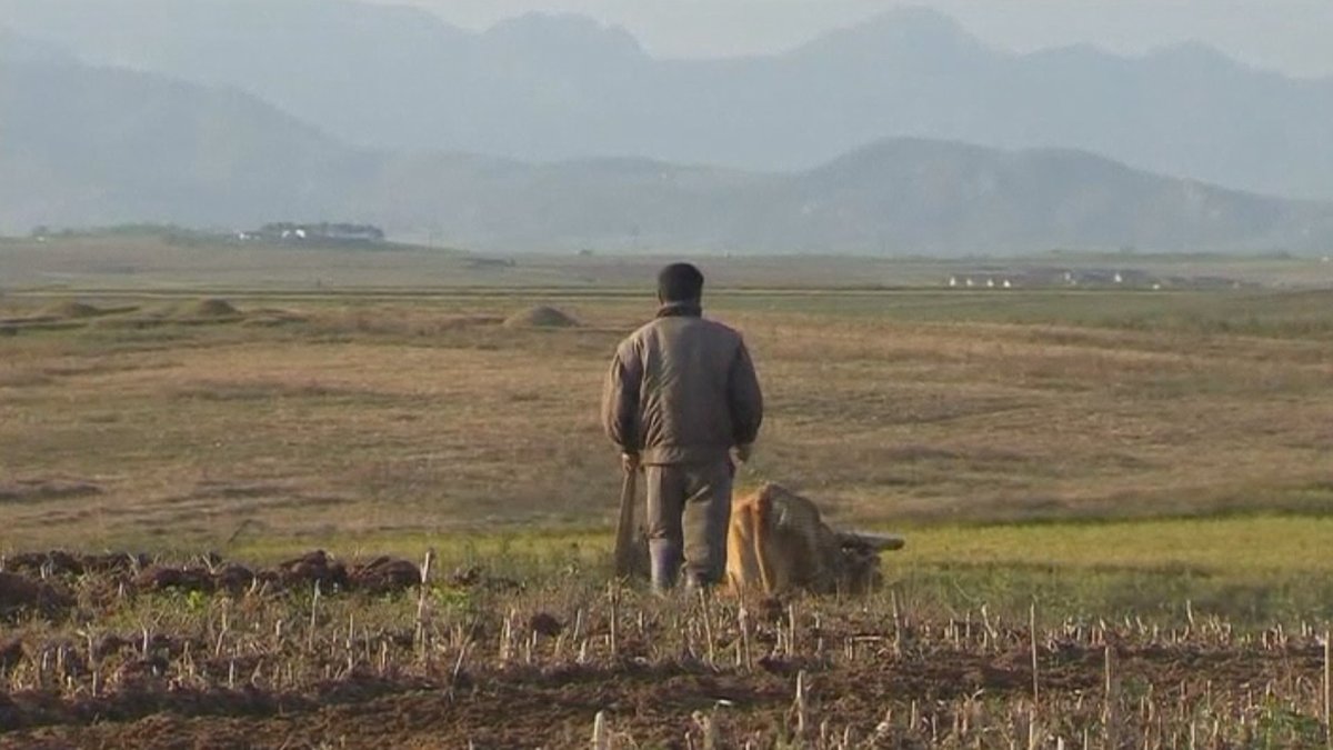 FAO, 북한 식량지원 필요국 17년째 지정…"식량상황 계속 취약"