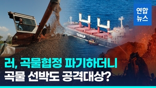  "흑해 우크라행 선박, 군수품 운반용 간주"…러 속셈 따로있나?