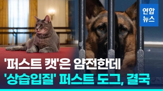  '대통령의 개' 사람 10번 물었다…바이든 부부 특단 조치?