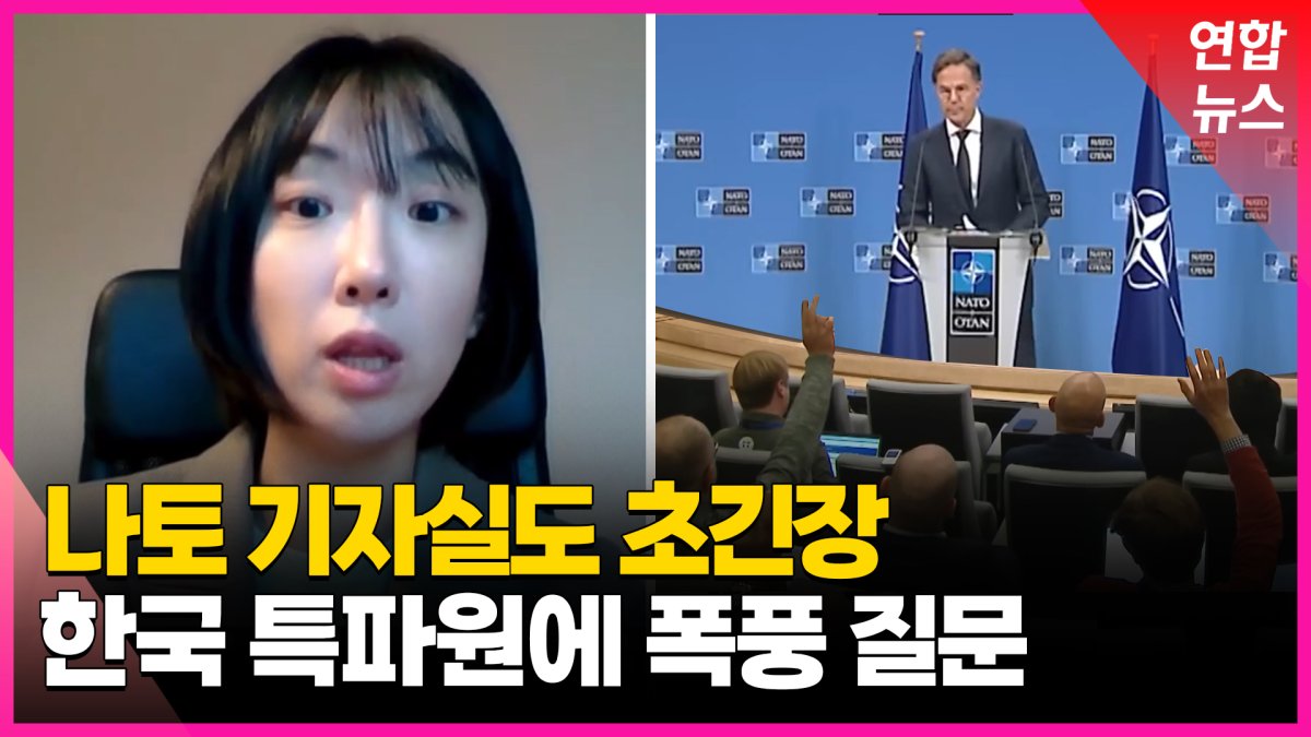 [영상] 북한군 파병에 나토 기자실도 '술렁'…"이런 적 처음"