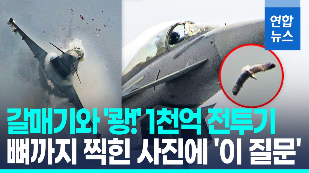 [영상] 1천억 전투기, 갈매기와 '쾅'…조종석 '펑', 뼈까지 찍힌 사진에