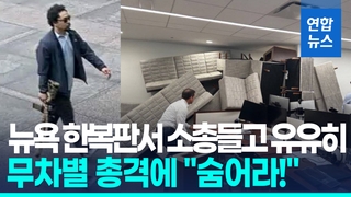 [영상] M4 소총들고 뉴욕 고층 건물로 유유히…"숨어라!" 소파로 방어막