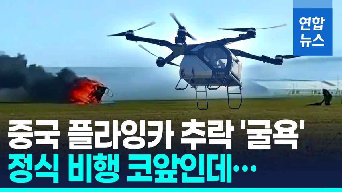 [영상] 中 플라잉카 충돌후 추락 '펑'…안전성 논란