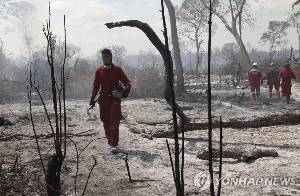 2019년 8월 28일 볼리비아 로보레 지역 외곽 숲의 화재를 진화한 현지 소방관들이 주변을 살피고 있다. [AP=연합뉴스]