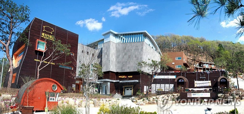 원주 돼지문화원 매주 금요일은 돼지 잡는 날 | 연합뉴스