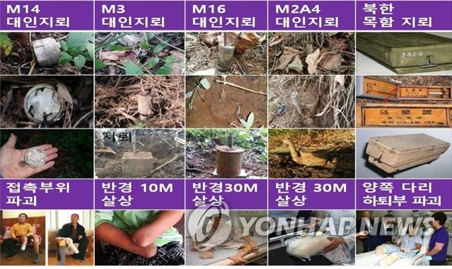 朝鮮半島に埋設された主な対人地雷の種類とそれらによる被害（韓国地雷除去研究所提供）＝（聯合ニュース）≪転載・転用禁止≫