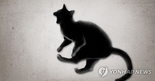 고양이 동물학대 (PG)