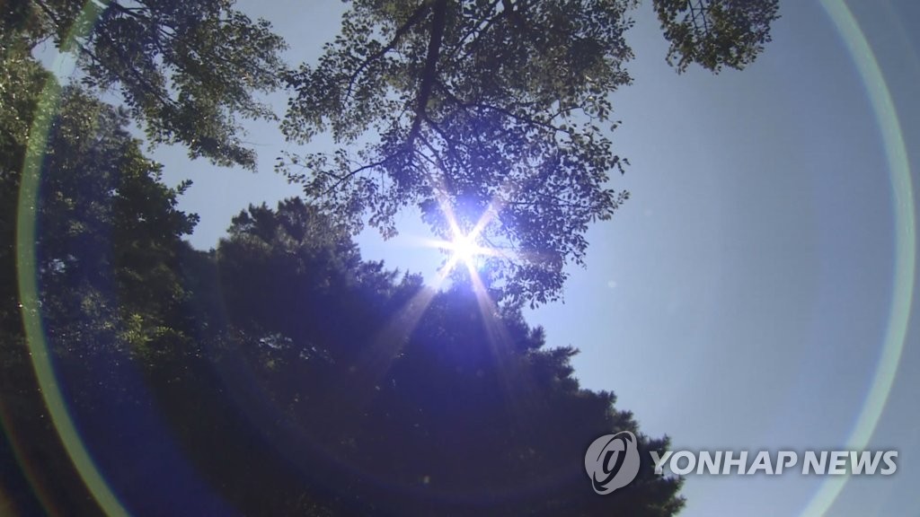 진안서 '폭염 속 산행' 50대 숨져…체온 40.5도