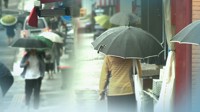 강원 차차 흐려져…내일까지 내륙·산지 5∼30㎜ 비